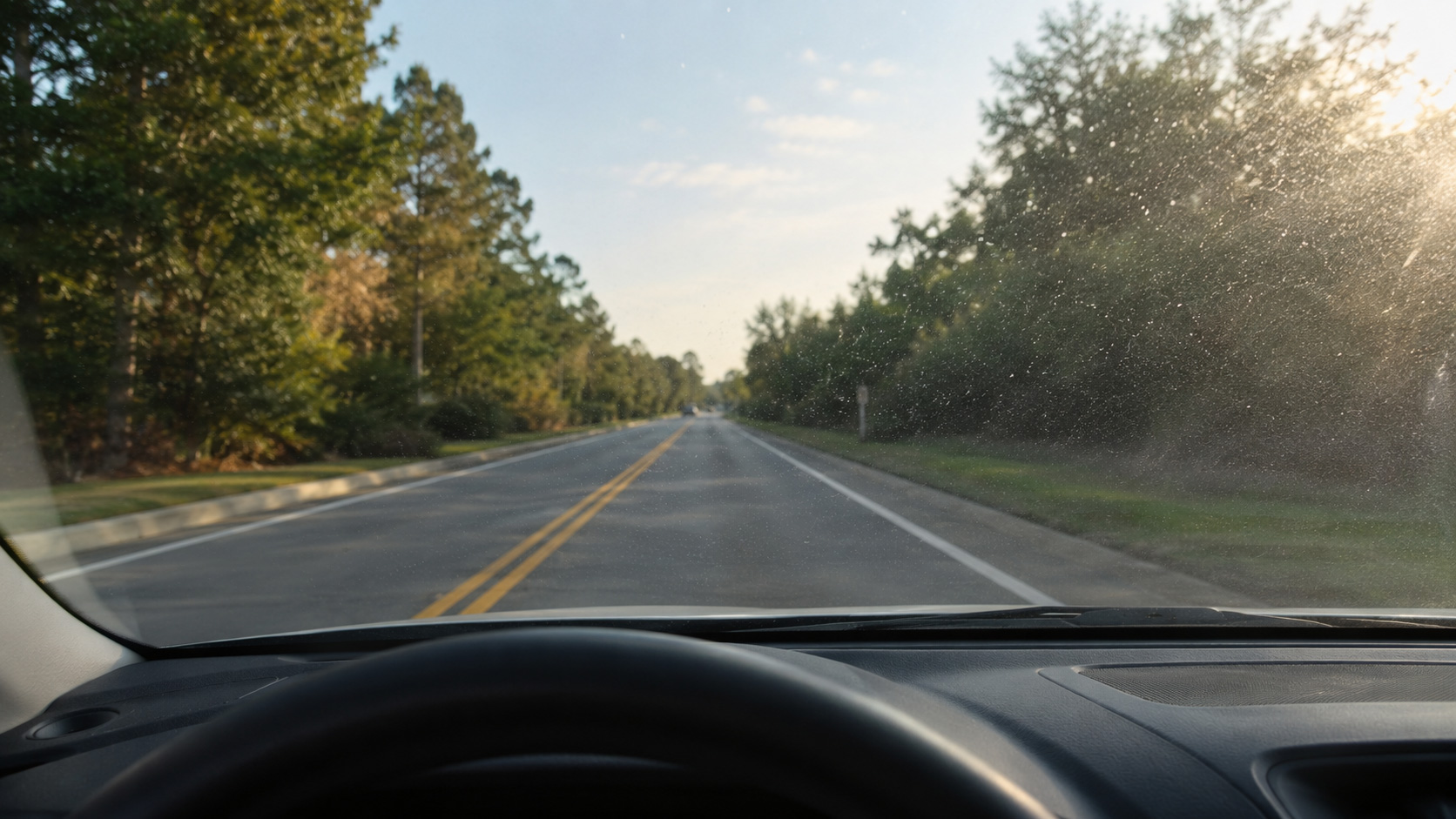 Pitted Windshield